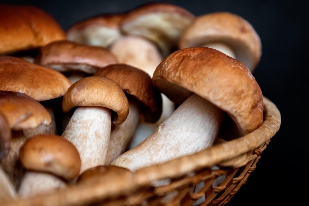The surprising benefits of mushrooms and seafood.

